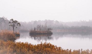 Ven in het bos met reflectie, mist en herfstkleuren | Landschapsfotografie - Oisterwijkse vennen van Merlijn Arina Photography