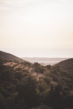 Landschap Toscane Italië van S van Wezep