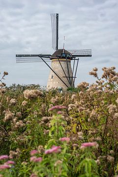 Kinderdijk molen in een veld met bloemen