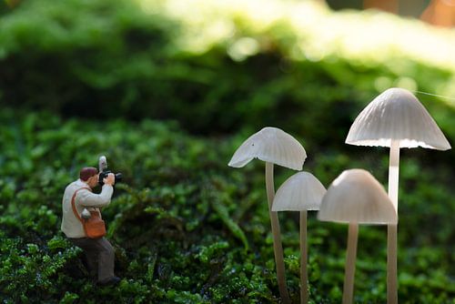 Miniature Photographer Capturing Mushrooms in a Mystical Forest by ChrisWillemsen