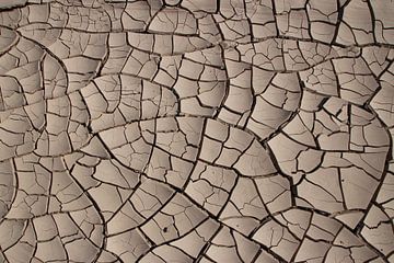 Gespleten aardkorst, Nationaal Park Pan de Azúcar, Chili van A. Hendriks