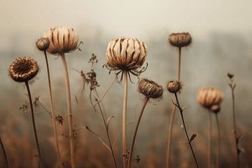 Still life with dried flowers outdoors by Carla Van Iersel