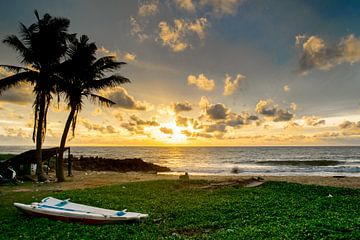 Coucher de soleil au Sri Lanka.