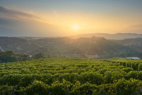 De wijngaarden van de Langhe bij zonsondergang, met het dorp Castiglione Falletto