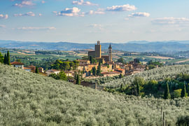 Vinci Village Surrounded by Olive Groves in Tuscany