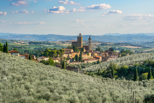 Vinci Village Surrounded by Olive Groves in Tuscany
