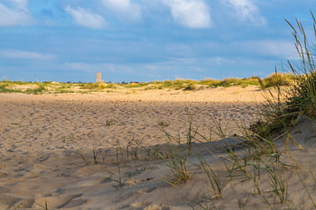Dünen am Strand von Conil de la Frontera in Spanien