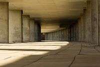 Concrete artwork ...