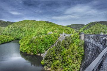 Stuwdam in de Eifel by Martin Van der Pluym