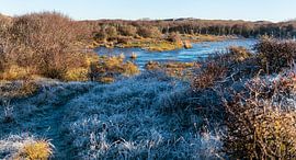 L'hiver dans les dunes sur Rob Donders Beeldende kunst