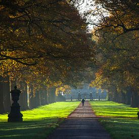 Avenue Singraven by Antoon Morsink