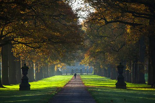 Laan Singraven van Antoon Morsink