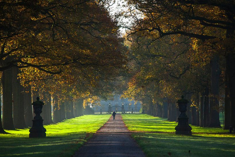 Avenue Singraven by Antoon Morsink