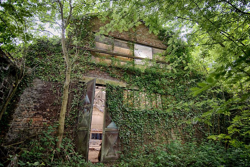 Natuur komt dichtbij von Rens Bok