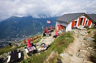 Bovenop de berg in de Franse Alpen von Rosanne Langenberg Miniaturansicht