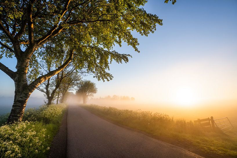 Morning in North Holland by Peter Korevaar