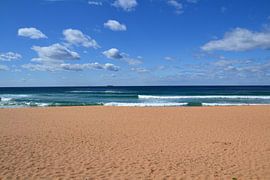 Palm Beach by Wessel Smit