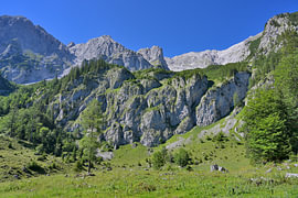 Alpine landscape with rugged mountains and green meadows by Tomherkules