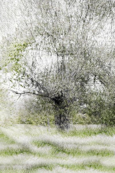 Herbst von Ingrid Van Damme fotografie