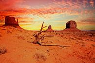 Monument Valley Navajo Tribal Park, Arizona USA par Gert Hilbink Aperçu