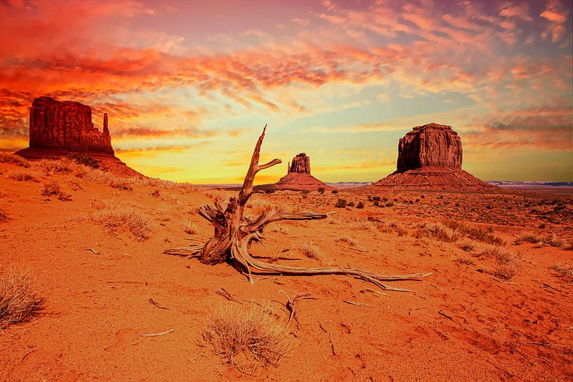 Monument Valley Navajo Tribal Park, Arizona USA par Gert Hilbink