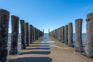 Wellenbrecher am Strand von Zoutelande von John van de Gazelle