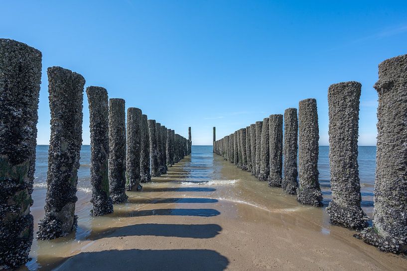 Breakwater on the beach of Zoutelande by John van de Gazelle fotografie