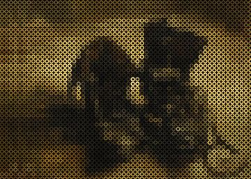 Une paire de chaussures