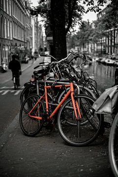 Amsterdamse straat van Daniel Ritzrow