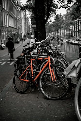 Amsterdam Street