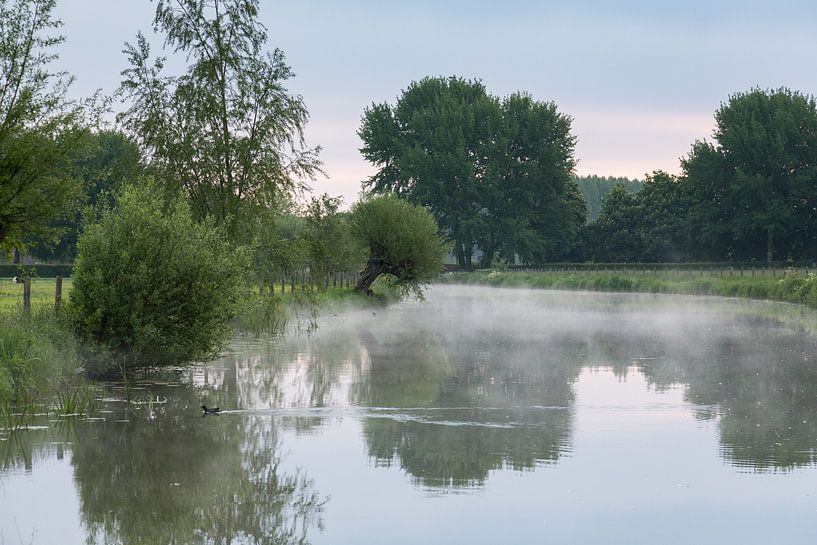 Ochtendnevel op de Kromme Rijn van Marijke van Eijkeren