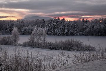 Sunset@sånfjället N.P. von Marco Lodder