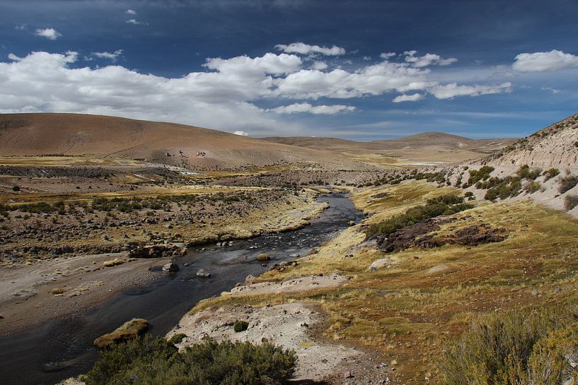 Riverstroompje, Altiplano, Bolivia van A. Hendriks