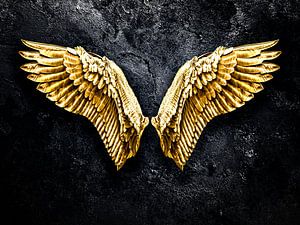 Gouden vleugels van Sascha Hahn