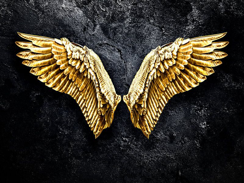 Goldene Flügel von Sascha Hahn