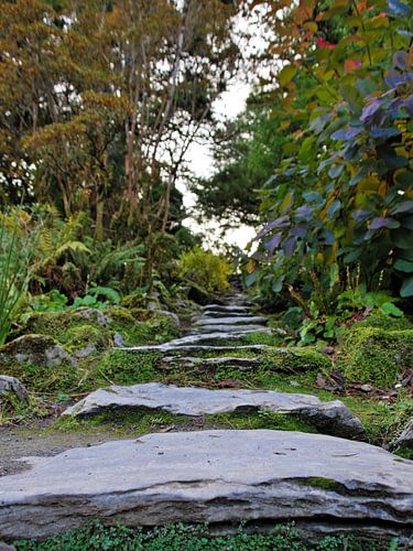 The road over the rocks