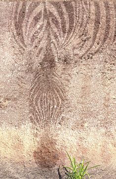 Zebra ghost rock painting by Bobsphotography