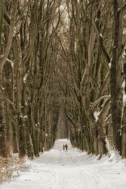 Winter-Wunderland von Moetwil en van Dijk - Fotografie
