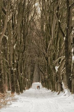 Winter Wonderland van Moetwil en van Dijk - Fotografie