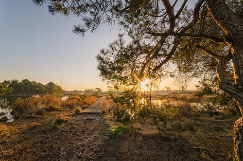 Sonnenaufgang in Malpie