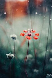 Nostalgische natuur nr. 11