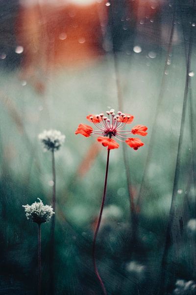 Nostalgic Nature No 11 by Treechild