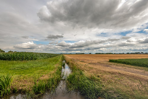 Bewölkung über der Polderlandschaft bei Lage Zwaluwe