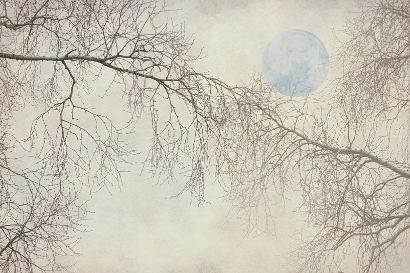 Takken met de Maan in een Romantische droomwereld. van Alie Ekkelenkamp