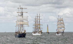 Sail In in Harlingen
