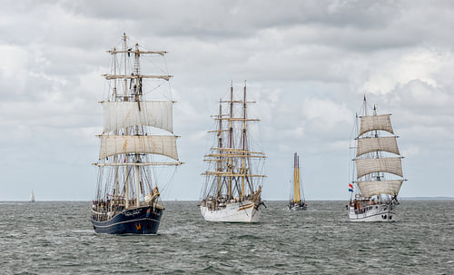 Sail In in Harlingen von John Kreukniet