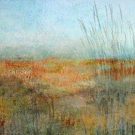 Grasses in the morning light by Claudia Gründler