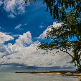 Strand auf den Seychellen von Erwin van Liempd