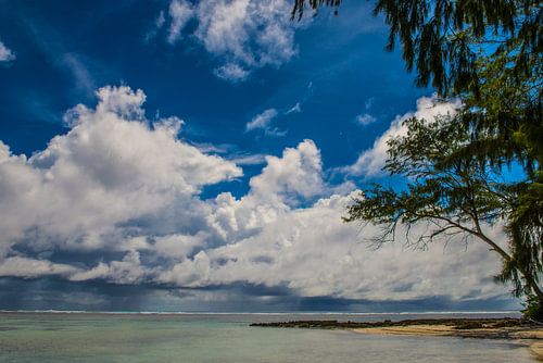 Strand auf den Seychellen