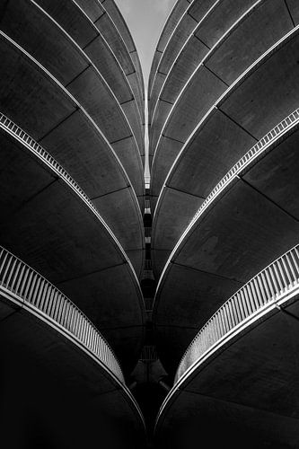 Ronde vormen in Architectuur